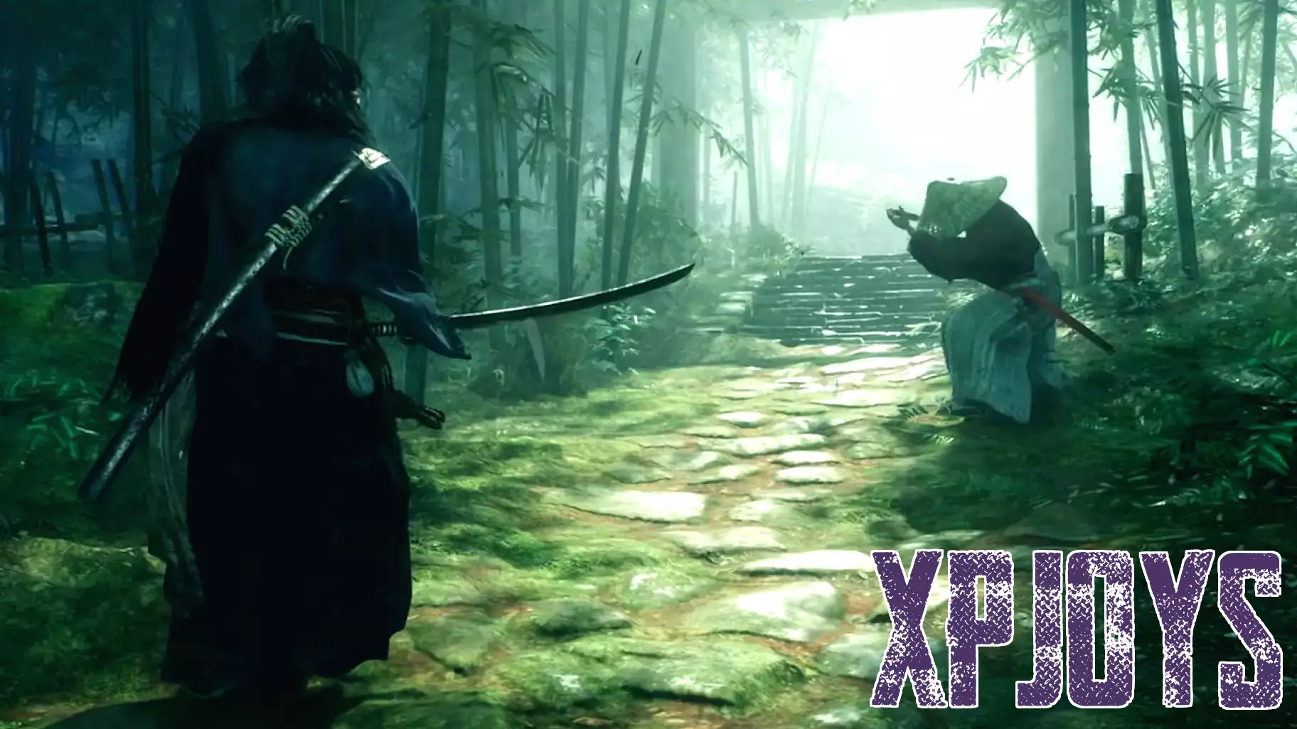 Rise of the Ronin: A Hidden Gem in Open World Gaming