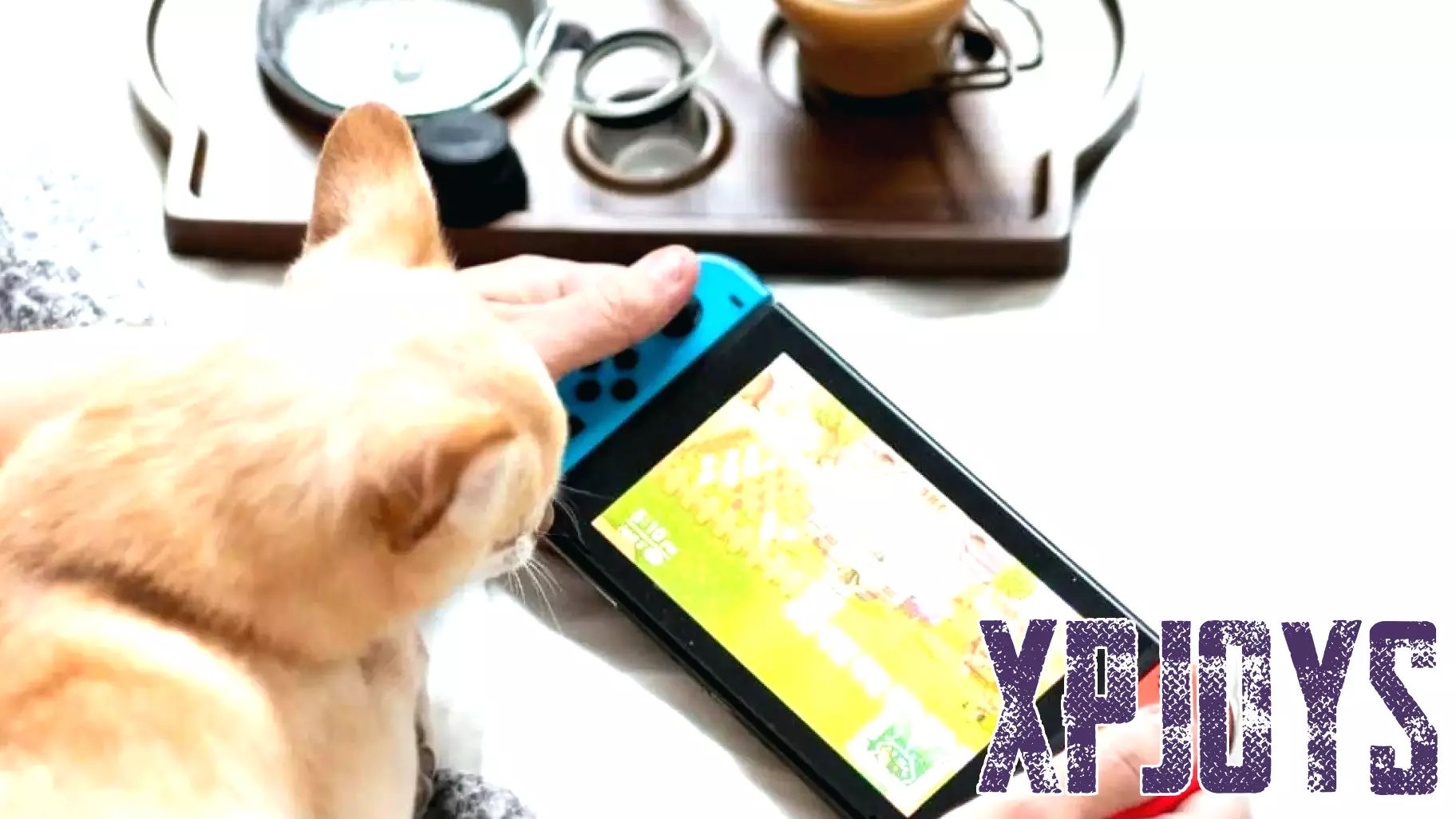 The Rise of Cozy Gaming: A New Era of Relaxation for Gamers
