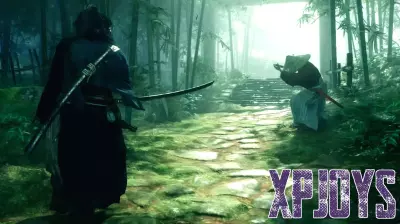 Rise of the Ronin: A Hidden Gem in Open World Gaming